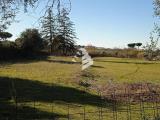 Particella, FRASCATI, 44.000 €, 5000,00 mq