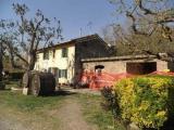 Particella, MONTESCUDAIO, 1.000.000 €, 1190,00 mq