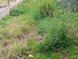 Particella, FORMIA, 15.000 €, 300,00 mq