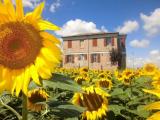 Casa, RECANATI, 398.000 €, 264,00 mq