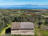 Particella, BRIATICO, Paradisoni, 70.000 €, 2580,00 mq