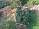 Particella, MONTALTO DORA, 29.000 €, 310,00 mq