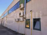 Affitto, Superfici commerciali, MASERADA SUL PIAVE, 4.300 €, 1000,00 mq