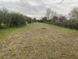 Particella, CAMPI BISENZIO, 60.000 €, 3300,00 mq