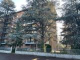 Appartamento, CORREGGIO, 135.000 €, 119,00 mq