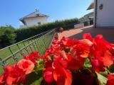 Casa, PISA, 990.000 €, 620,00 mq