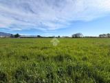Particella, BORSO DEL GRAPPA, 140.000 €, 1006,00 mq
