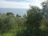 Particella, AMEGLIA, 26.000 €, 1150,00 mq