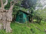 Particella, ORTONOVO, Luni, 25.000 €, 2880,00 mq