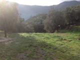 Particella, BALESTRINO, 75.000 €, 9000,00 mq