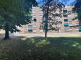 Appartamento, BOLOGNA, 249.000 €, 98,00 mq