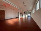 Affitto, Particella, MONTEVARCHI, 1.500 €, 190,00 mq