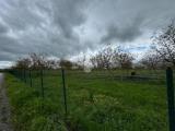 Particella, SPELLO, 200.000 €