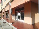 Superfici commerciali, BORGOSATOLLO, 120.000 €, 100,00 mq