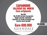 Particella, VALEGGIO SUL MINCIO, 600.000 €, 600,00 mq