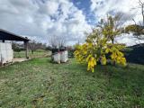 Particella, BRACCIANO, 55.000 €, 4165,00 mq