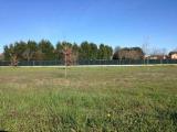 Particella, FAEDIS, 50.000 €, 950,00 mq