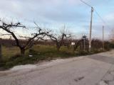 Particella, SOMMA VESUVIANA, 210.000 €, 12000,00 mq