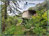 Particella, SERRAVALLE PISTOIESE, 25.000 €, 4000,00 mq
