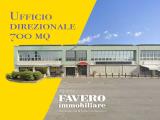 Affitto, Superfici commerciali, MIRANO, 3.000 €, 700,00 mq