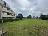 Particella, FORLI, 150.000 €, 759,00 mq