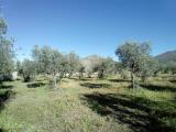 Particella, SPOLETO, 68.000 €, 1500,00 mq