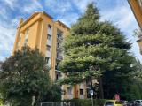 Appartamento, BOLOGNA, 359.000 €, 75,00 mq