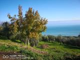 Particella, VASTO, 250.000 €, 1250,00 mq