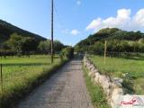 Particella, VERONA, 105.000 €, 5300,00 mq