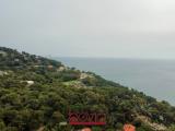 Particella, ANDORA, 329.000 €, 5367,00 mq