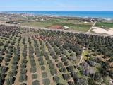 Particella, CAROVIGNO, 27.000 €, 12510,00 mq