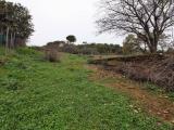Particella, CERVETERI, 29.000 €, 4000,00 mq