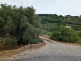Particella, IMPERIA, 45.000 €, 2400,00 mq