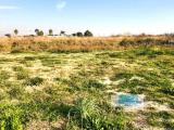 Particella, SOMMA VESUVIANA, 40.000 €, 2500,00 mq