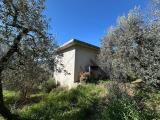 Superfici commerciali, TERNI, 46.000 €, 90,00 mq