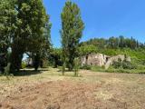 Particella, SAN MINIATO, 420.000 €, 1065,00 mq