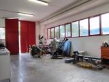Superfici commerciali, COLLESALVETTI, 250.000 €, 367,00 mq