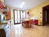 Affitto, Appartamento, PIOVE DI SACCO, 600 €, 50,00 mq