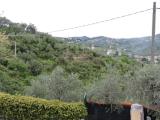 Particella, CHIAVARI, 49.000 €, 8470,00 mq