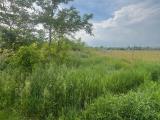Particella, VIMERCATE, 45.000 €, 3691,00 mq