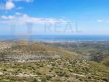 Particella, AVOLA, 585.000 €
