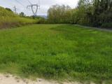 Particella, TRAVEDONA-MONATE, 25.000 €, 3750,00 mq
