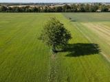 Particella, PAVIA, <i>A richiesta</i>