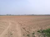 Particella, GUSSOLA, 90.000 €, 24446,00 mq