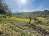 Particella, PIANELLA, 37.000 €, 1900,00 mq