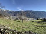 Particella, TIRANO, 170.000 €, 3000,00 mq