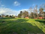 Particella, NETTUNO, 25.000 €, 700,00 mq