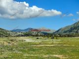 Particella, TORRETTA, 1.750.000 €