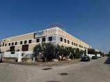Superfici commerciali, CONTRADA, 980.000 €, 1150,00 mq
