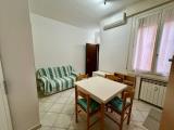 Affitto, Appartamento, BOLOGNA, 770 €, 40,00 mq